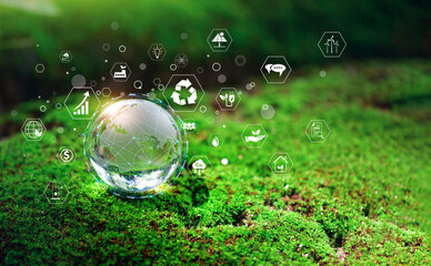 Glass globe in green forest with the icon environment of ESG, co2, circular company, and net zero....