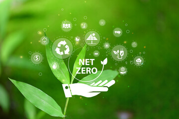 Net zero and carbon neutral concept. Net zero greenhouse gas emissions target. Climate neutral long term strategy. No toxic gases. Carbon neutral.