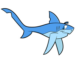 Blue Shark