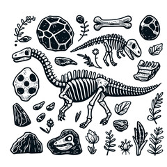 Dinosaur skeleton and fossils. Dinosaur bones, rocks, footprints, plants and eggs. Black and white illustration in childish style © Marek49