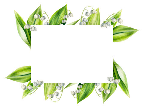 Watercolor frame with bouquet of lilies of the valley flowers isolated on white background. Spring hand painted illustration. For designers, wedding, decoration, postcards, wrapping pap