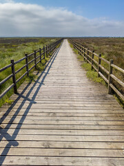 Eco path wooden walkway, ecological trail path