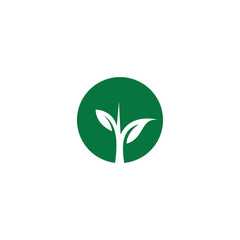Growth Tree Logo Vector. Tree Icon. Leaf Logo