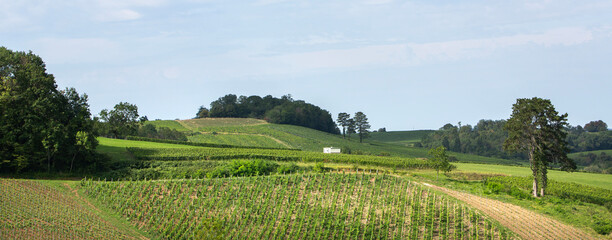 vines and caravan in french jura countryside