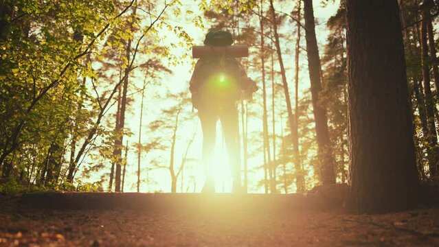 Traveler woman with backpack walking on path in forest.Brave woman travels alone.Back view of young woman hiking in forest.Hiking woman with backpack.Survival in nature.Tourism and willpower concept