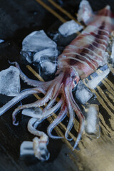 Fresh squid with crushed ice on a dark background.