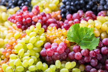 colorful  grape as background