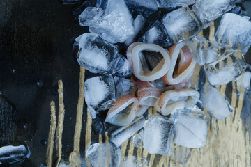 Fresh squid with crushed ice on a dark background.