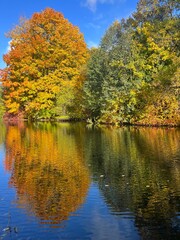 Autumn trees reflection on the pond surface, natural colors of autumn trees