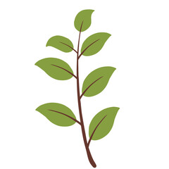 autumn leaves vector