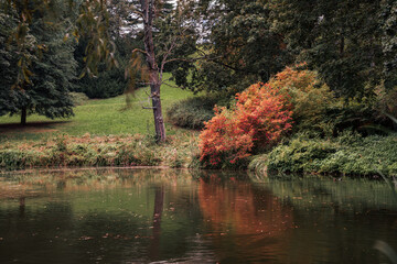 Kolorowe drzewa nad stawem w miejskim parku wczesną jesienią.