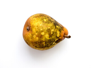 The vegetable Pear.