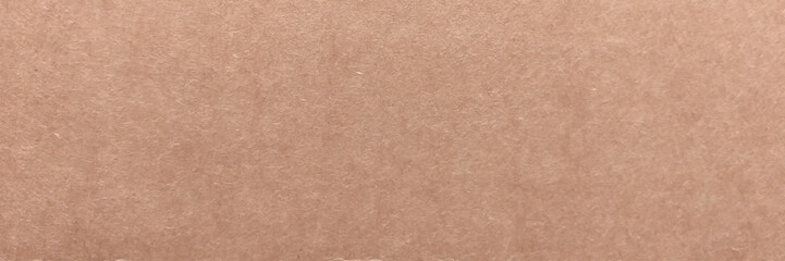 Panorama view brown paper texture for background. Recycled paper texture background in light red brown. Vector illustration.