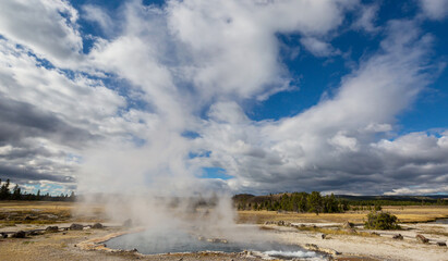 Yellowstone