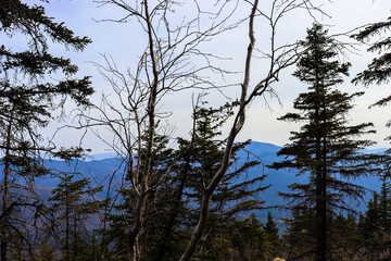 Mountains. Holidays in the mountains. Tourism and travel. Sikhote-Alin.