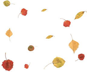 Realistic autumn background.