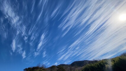 clouds over the forest