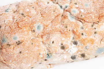 Green and black mold on bread, closeup