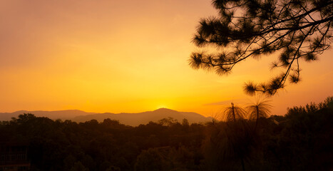 Silhouette of pine branches and mountains at sunset.