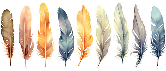 Watercolor Feather Illustrations