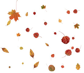 Luxury autumn texture.