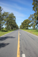 Central image of an empty road surrounded by trees in the countryside