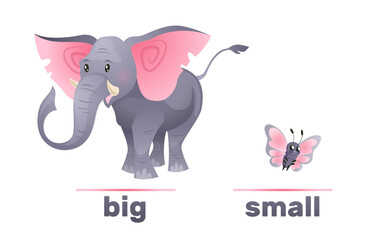 Antonyms and opposites, big and small. Elephant and butterfly. English language vocabulary, educational card for kids. Card with picture and text. Cartoon flat isolated vector concept
