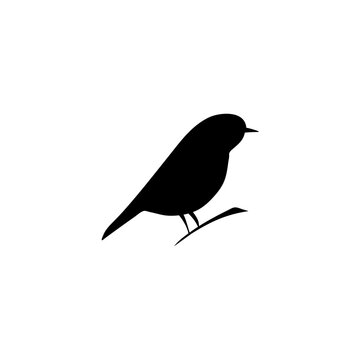 silhouette of birds
