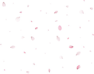 Realistic Cherry Petals