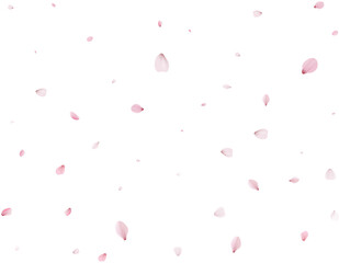 Realistic Cherry Petals