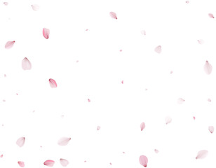 Realistic Cherry Petals