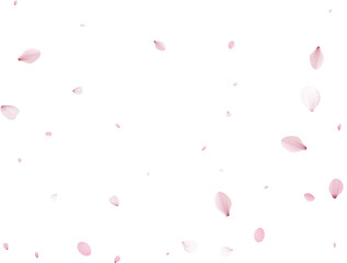 Realistic Sakura Petals.