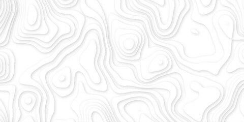 3d render, abstract white paper background. Paper cut vector art background banner texture. multi layer cutout geometric pattern on vector, Abstract soft white background with waves. 