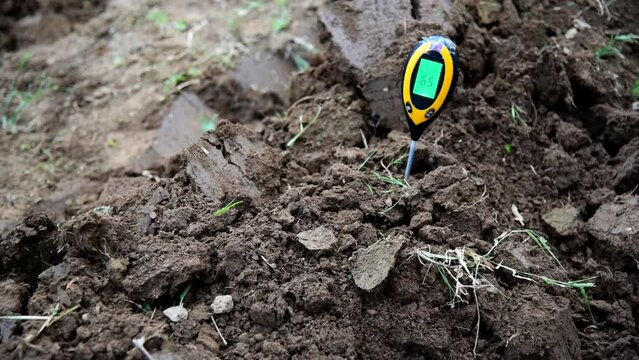 Use soil PH meter for check the PH value 