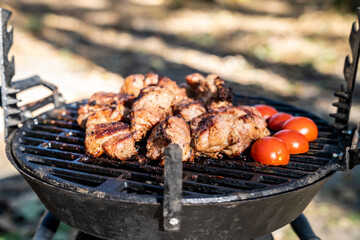 Autumn forest, shashlik tomatoes, grill.