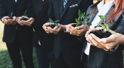 Business people hold plant together in unity and teamwork concept of eco company committed to...