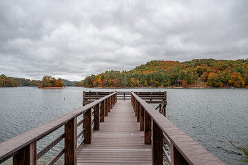 Fototapeta premium fall