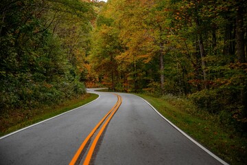 Obraz premium autumn fall trip