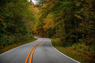 Fototapeta premium autumn fall trip
