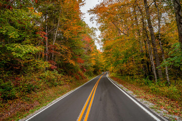 Obraz premium autumn fall trip