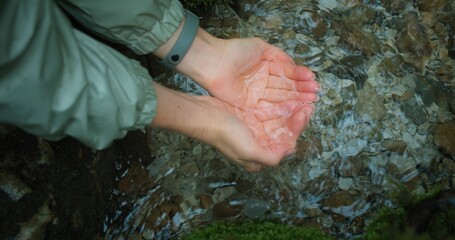 Girl immerses her hands in the cold water of a mountain stream. Female hands draw water from the...