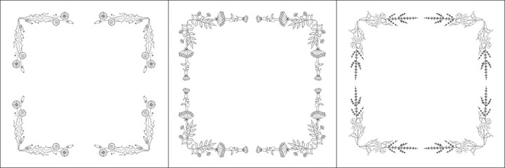 Set of three vector frames with field flowers. Elegant black and white monochrome ornamental corners. Vector frame for all sizes and formats. Isolated vector illustration.