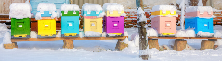 Panoramic view of apiary during winter season, vivid colorful beehives covered with snow....
