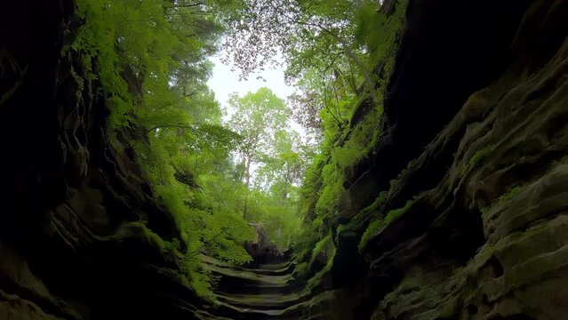 Starved Rock State Park, canyon and forest, day shot