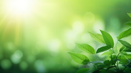 Concept nature view of green leaf on blurred greenery background in garden and sunlight with copy space using as background natural green plants landscape, ecology, fresh wallpaper.