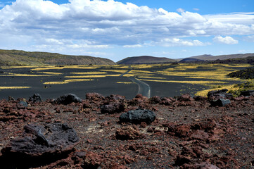 Volcanic Beauty of Payunia under a Blue Sky