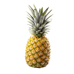 Fototapeta premium pineapple isolated