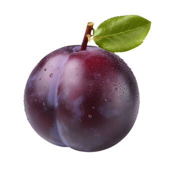 plum isolated
