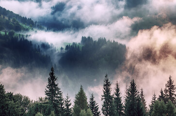 Misty mountain landscape - 662833540