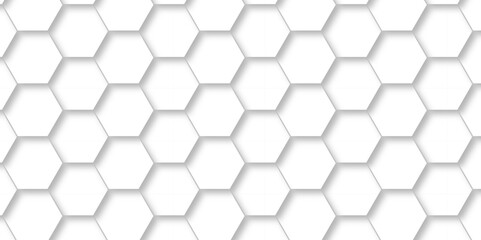 Abstract background with hexagon and white Hexagonal Background. Luxury White Pattern. Vector Illustration. 3D Futuristic abstract honeycomb mosaic white background. geometric mesh cell texture.